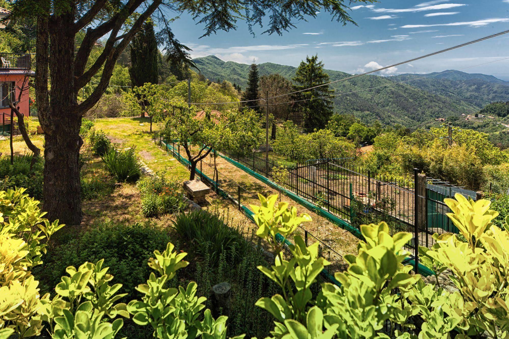 Oasi Verde Castiglione Chiavarese Extérieur photo