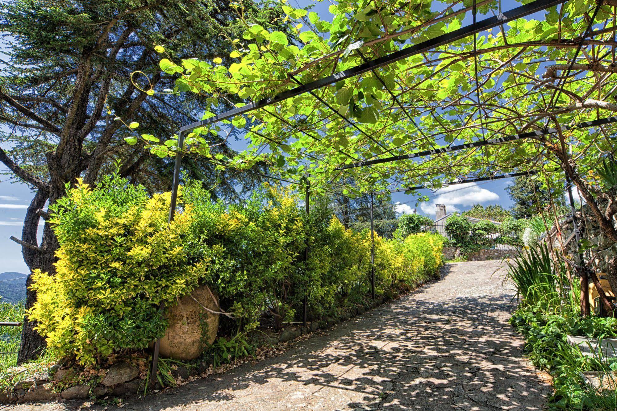 Oasi Verde Castiglione Chiavarese Extérieur photo